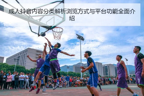 成人抖音内容分类解析浏览方式与平台功能全面介绍